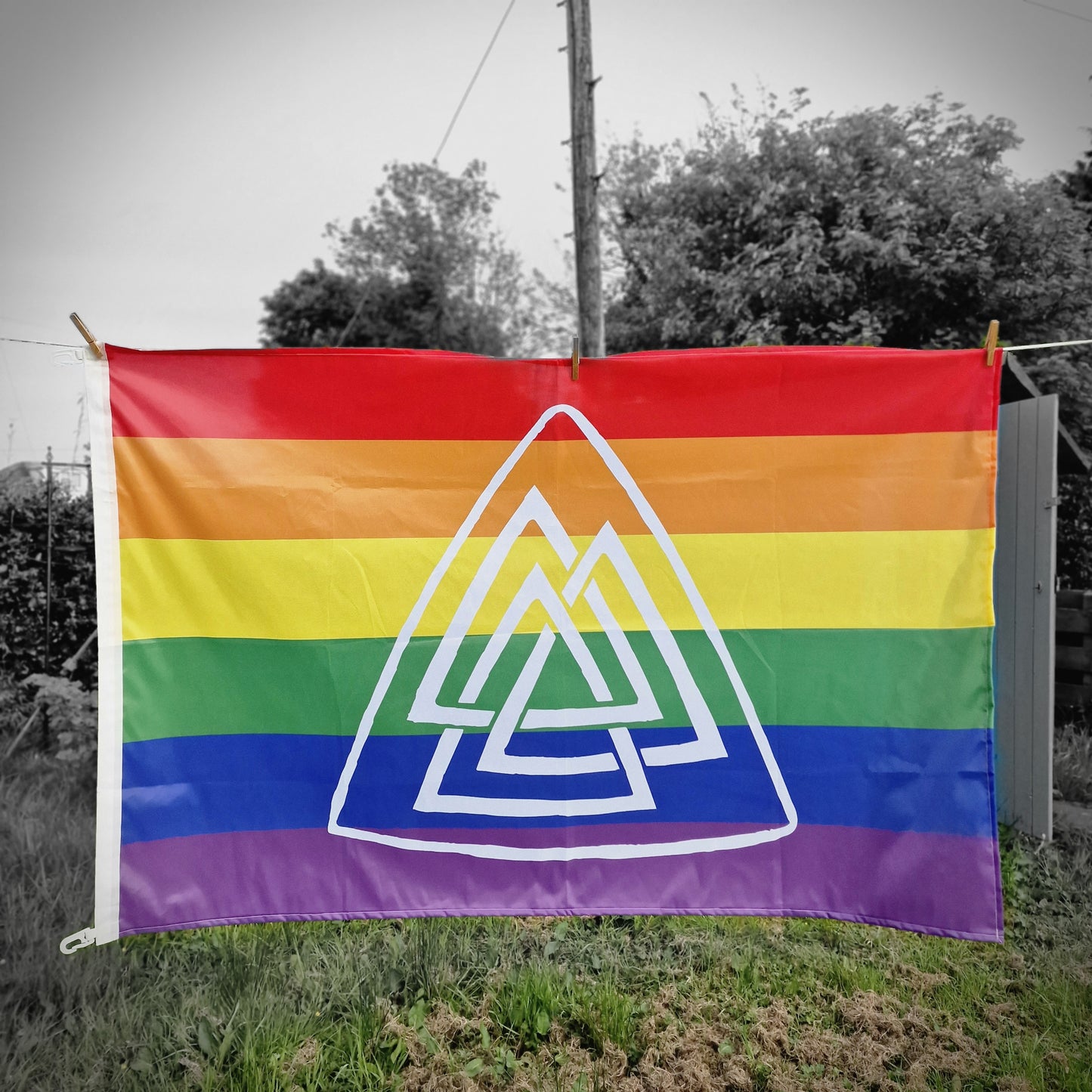 Asgard Valknut Pride Flag