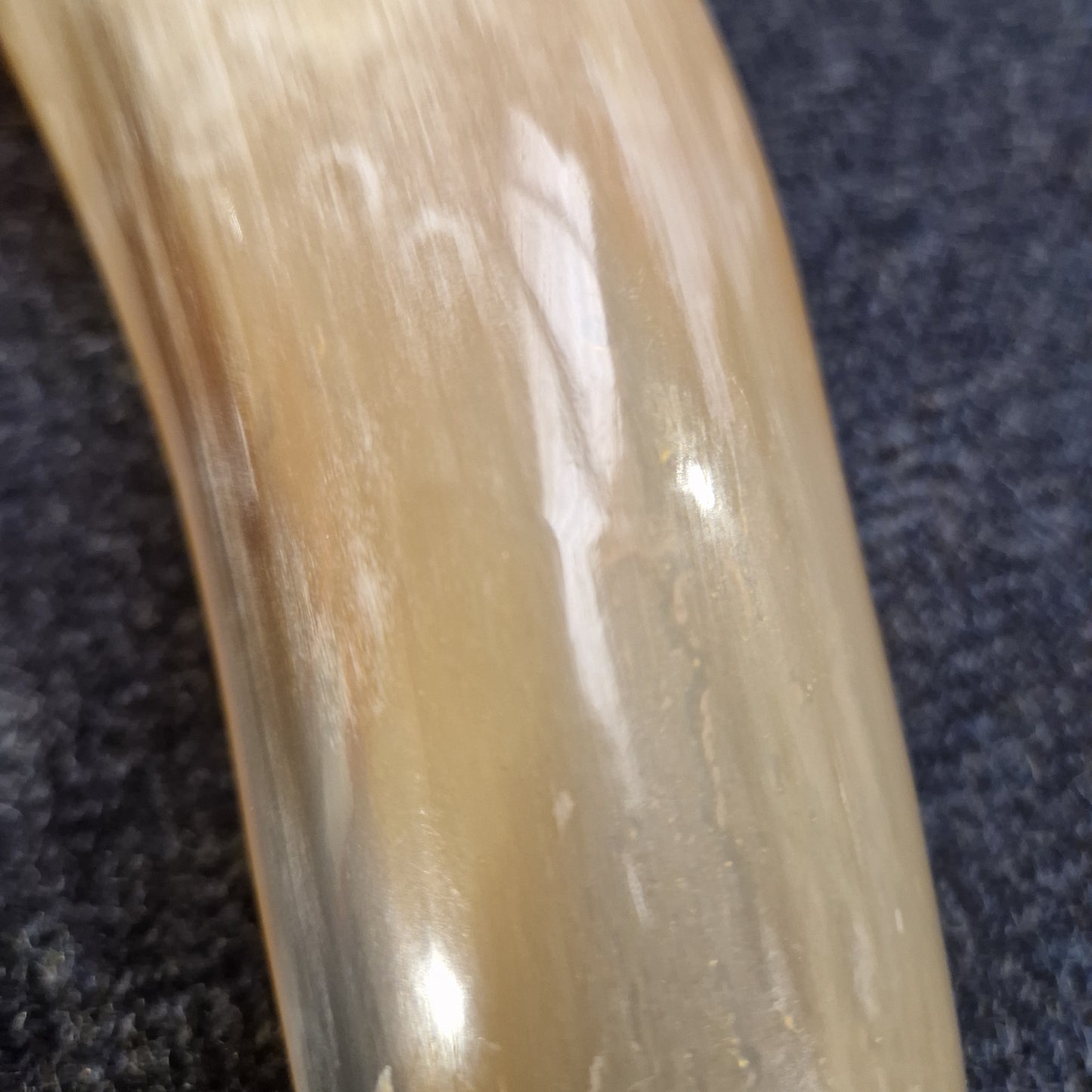 Viking Drinking Horn Medium