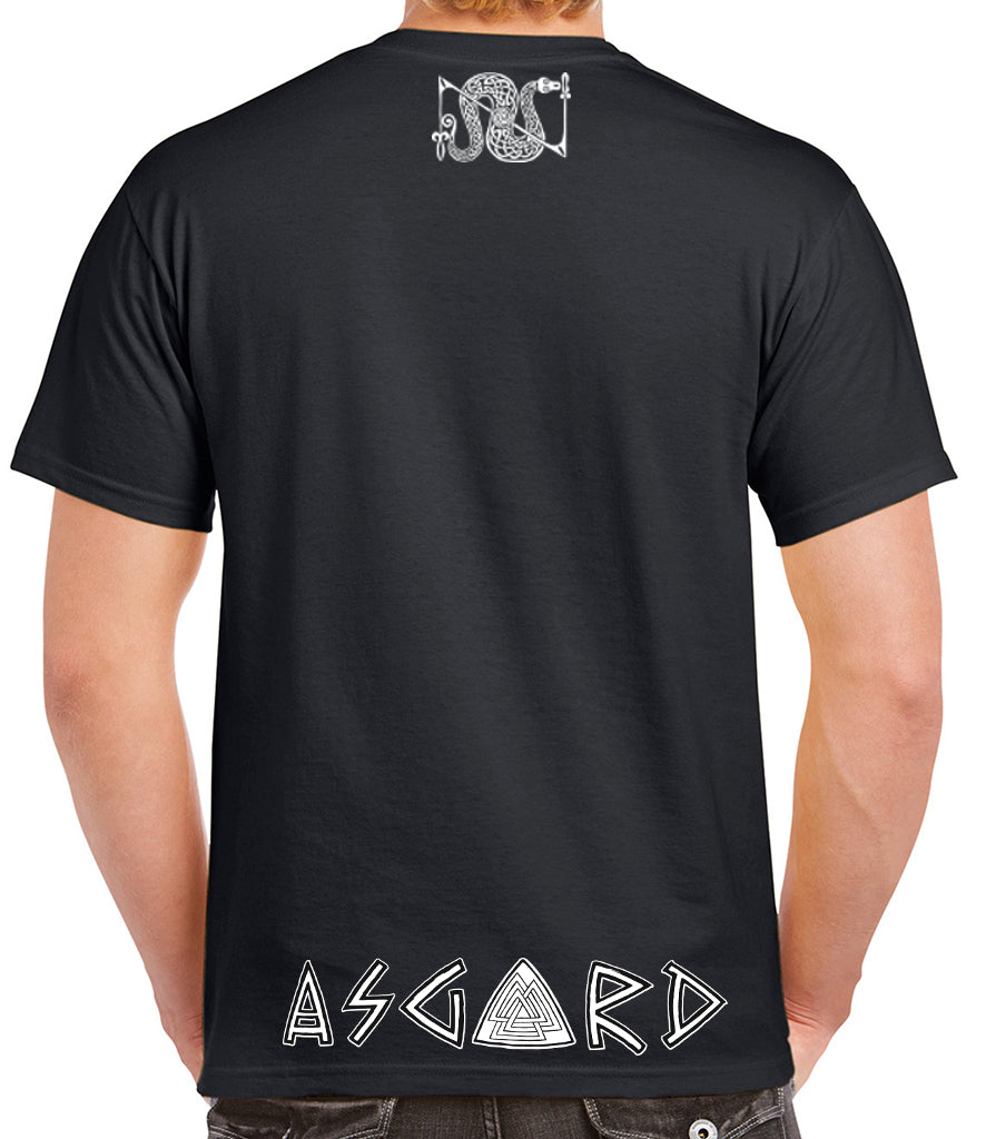 Pictish Snake And Z Rod Unisex T-shirt