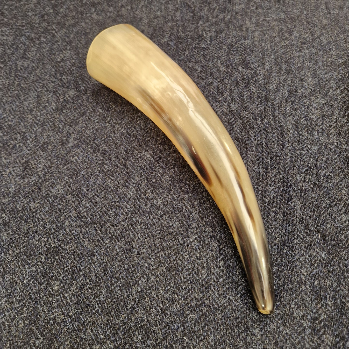 Viking Drinking Horn Medium