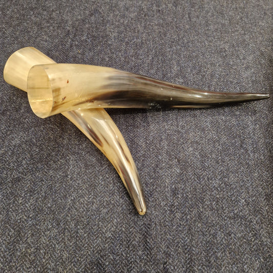 Viking Drinking Horn Medium